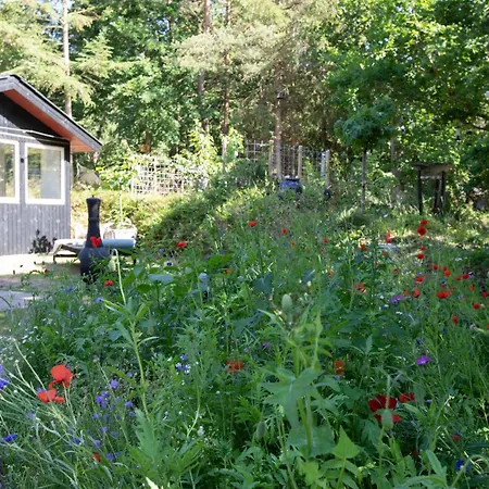 Cozy Summerhouse In An Incredibly Scenic Location Hébergement de vacances *