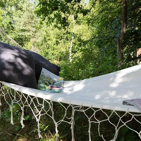 Cozy Summerhouse In An Incredibly Scenic Location Hadsund